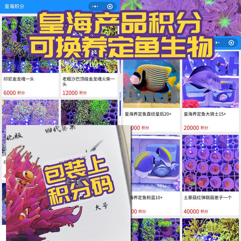 皇海低磷活性炭碳海水缸专用水族鱼缸珊瑚无磷PO4吸磷NO3