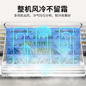 嵩傲风幕柜水果蔬菜保鲜柜商用超市牛奶生鲜饮料风冷藏展示柜定制