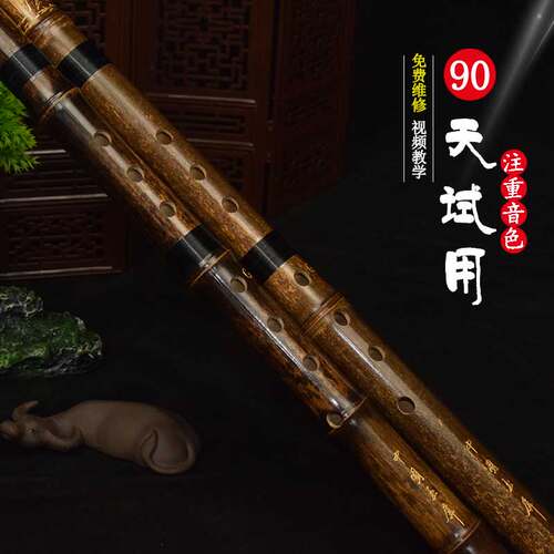李坤松专业演奏级洞箫初学者8孔g调乐器紫竹古风八孔洞萧高端短箫