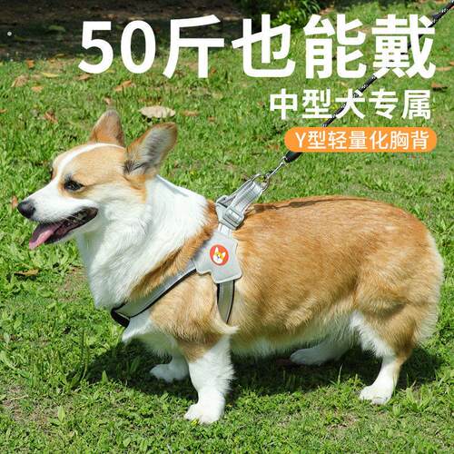 新款狗狗牵引绳胸背带背心式宠物遛狗绳中小型犬柴犬法斗柯基脖圈