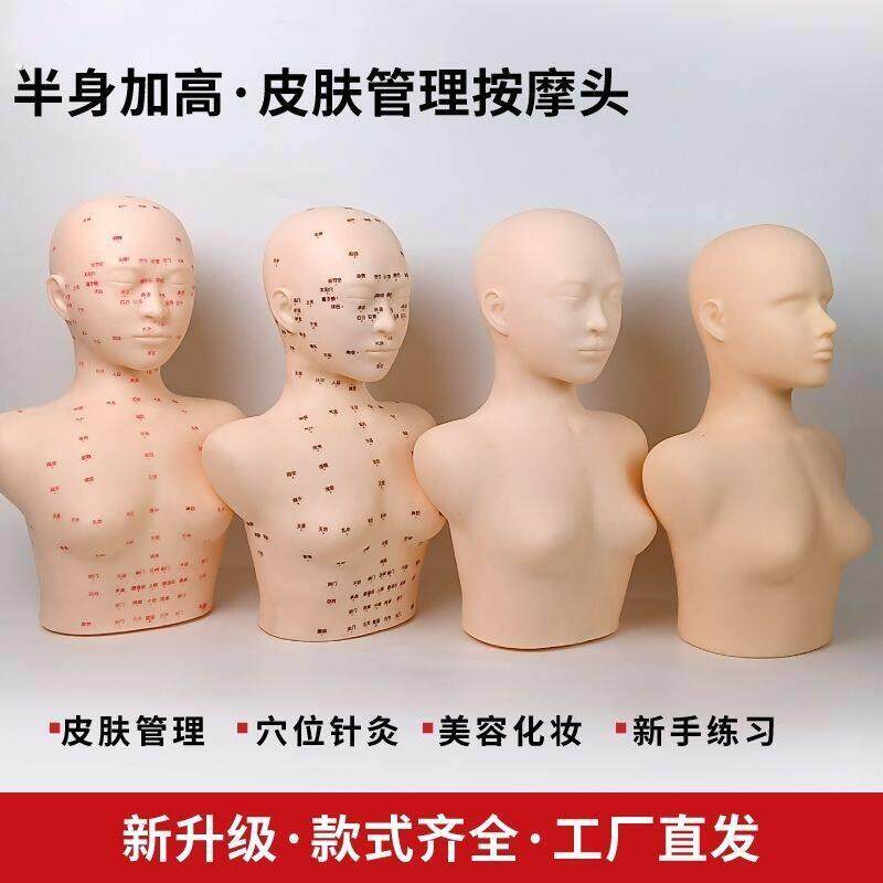 皮肤管理头模学特美容假人头头部模型美容模头脸部按摩光头带肩膀