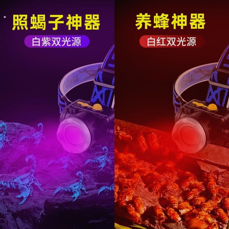 红光头灯养蜂专用查蜂工具红白双光源头戴式充电强光探照