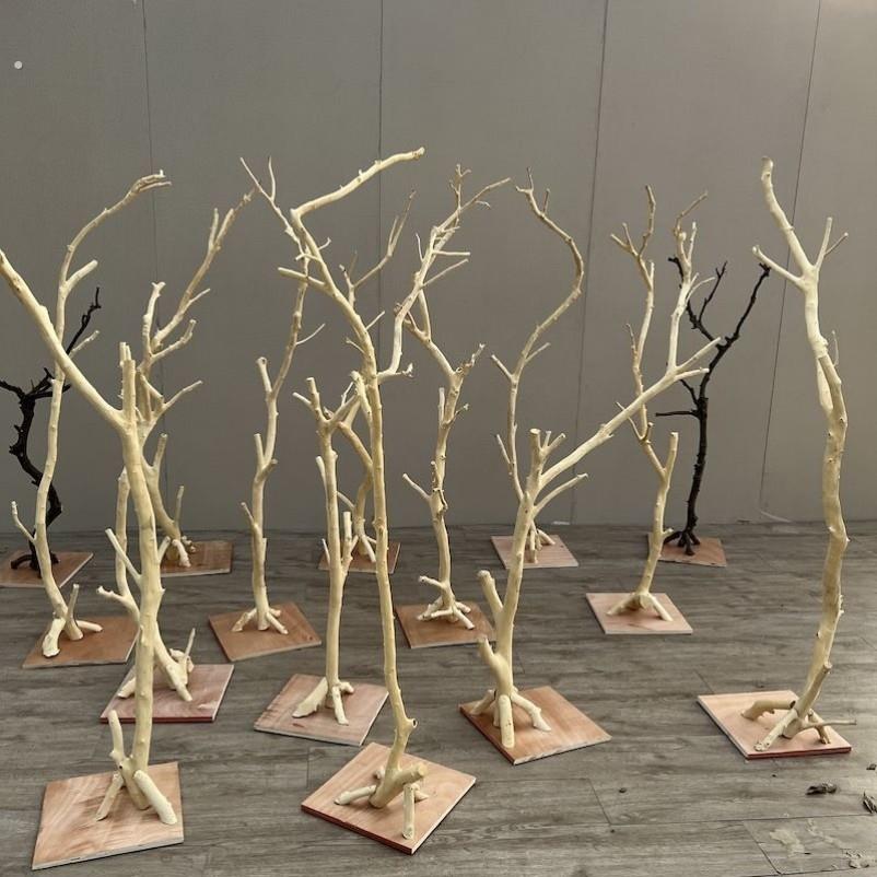 树枝干枝支架鸟站架鹦鹉木架树干灯架装饰干树枝艺术摆件原木造型图片