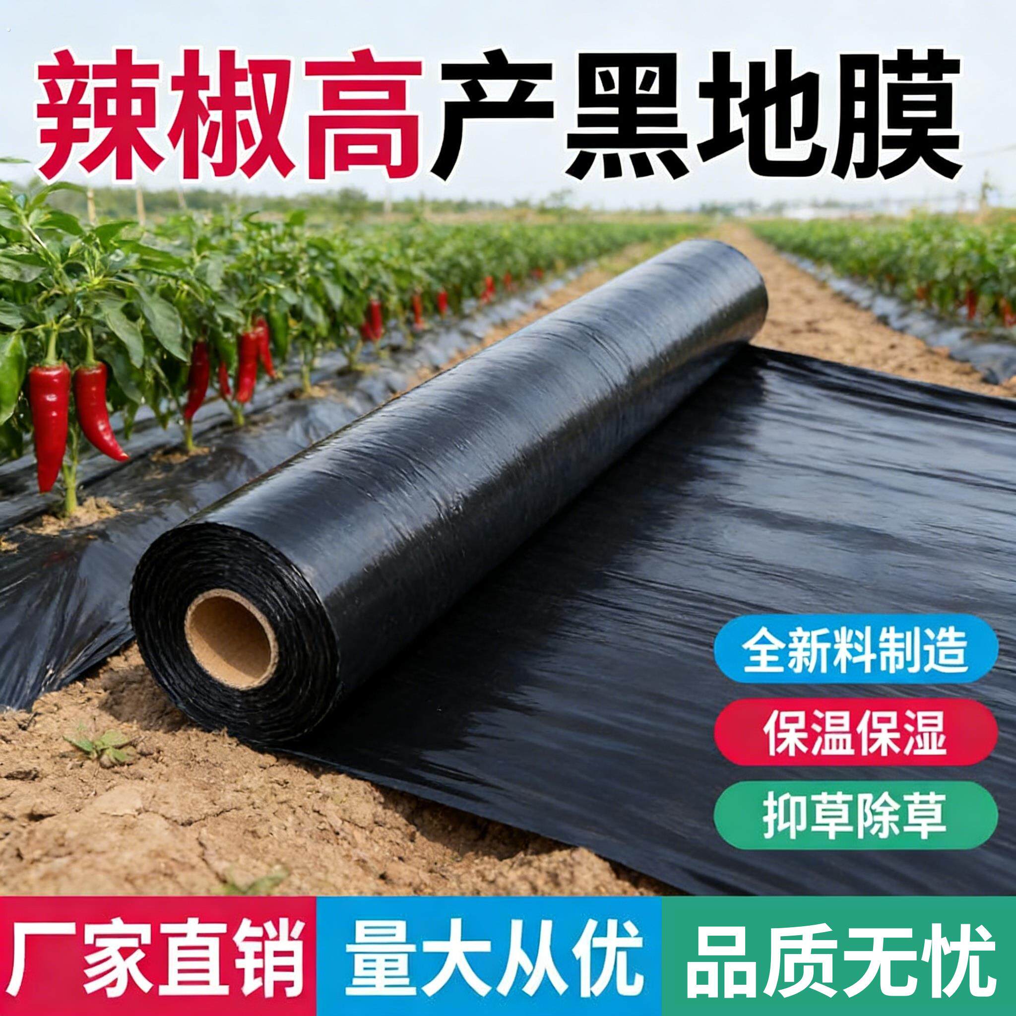辣椒专用黑色地膜保温膜加厚农用种植塑料薄膜防草布除草地钉