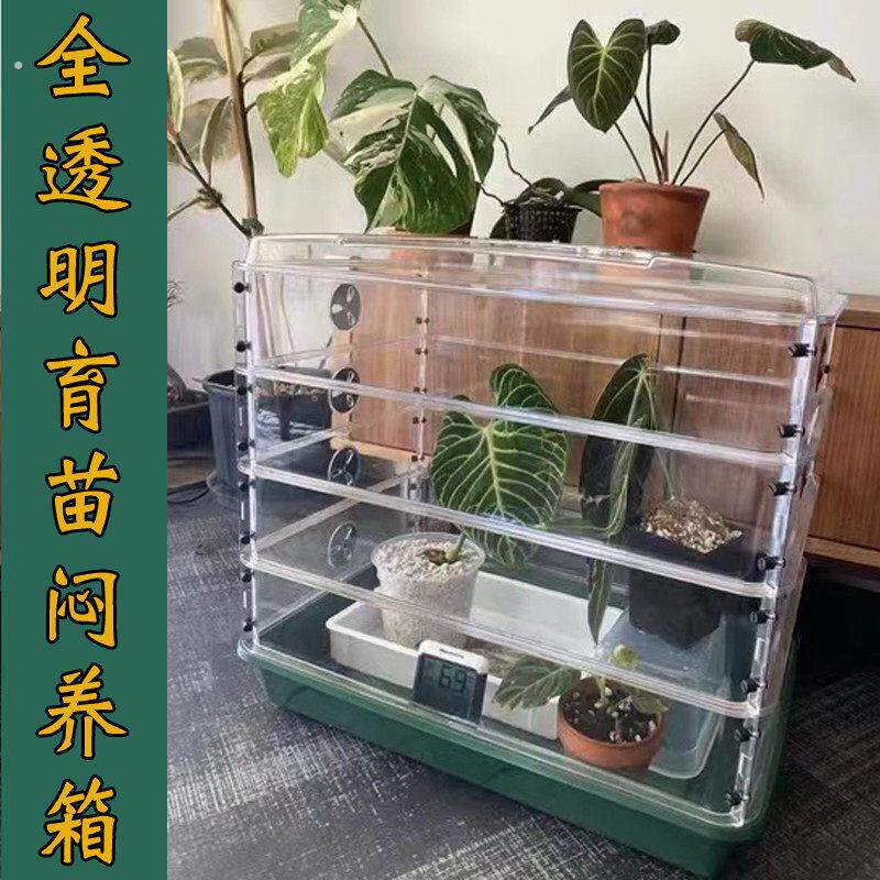 育苗闷养箱培育传播箱体带全透明加高层5939大托盘温室发芽催根盒