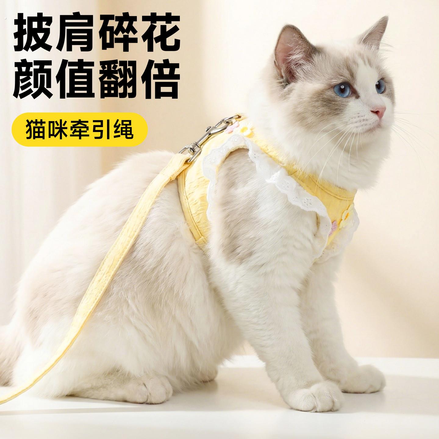 猫咪牵引绳猫背带防挣脱不勒脖溜猫绳猫绳子小猫胸背带外出专用