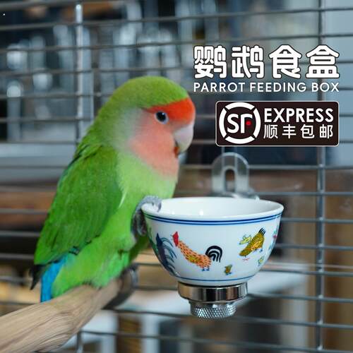 小型鹦鹉食盒防溅粮陶瓷食碗牡丹玄凤小太阳保温箱底网磁吸喂食器