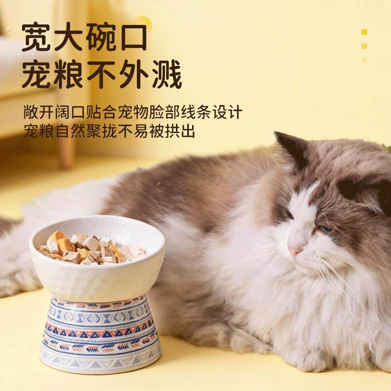 宠物碗猫狗高脚碗陶瓷异形猫咪吃饭平口斜口碗可爱猫狗碗猫粮碗