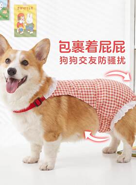 宠物狗母狗狗姨妈裤女狗柯基月经生理裤柴犬小狗外出防交配安全裤