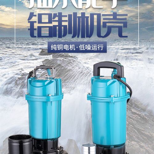 潜水泵家用220V水泵洗车农用户外浇灌自吸水泵排污清水泵