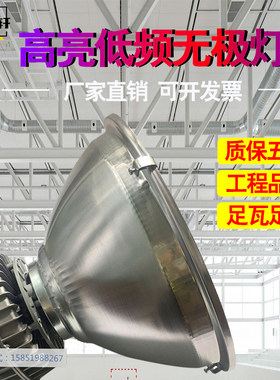 低频无极灯厂房仓库车间防爆防腐灯100w200W300W瓦羽毛球馆照明灯