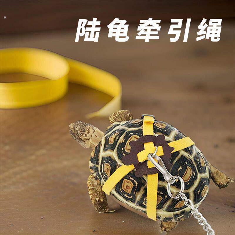 陆龟牵引绳溜龟绳外出牵绳背带人造皮爬宠乌龟户外便携遛龟绳