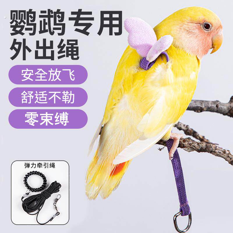 鹦鹉牵引绳超轻不勒外出抱婴袋训练溜鹦鹉鸟神器虎皮牡丹玄凤放飞