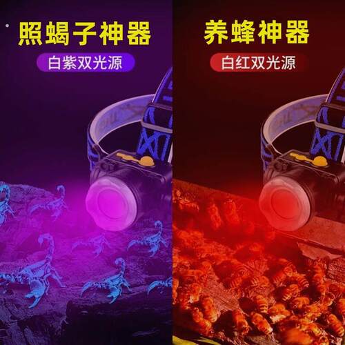 红光头灯养蜂专用查蜂工具红白双光源头戴式充电强光探照