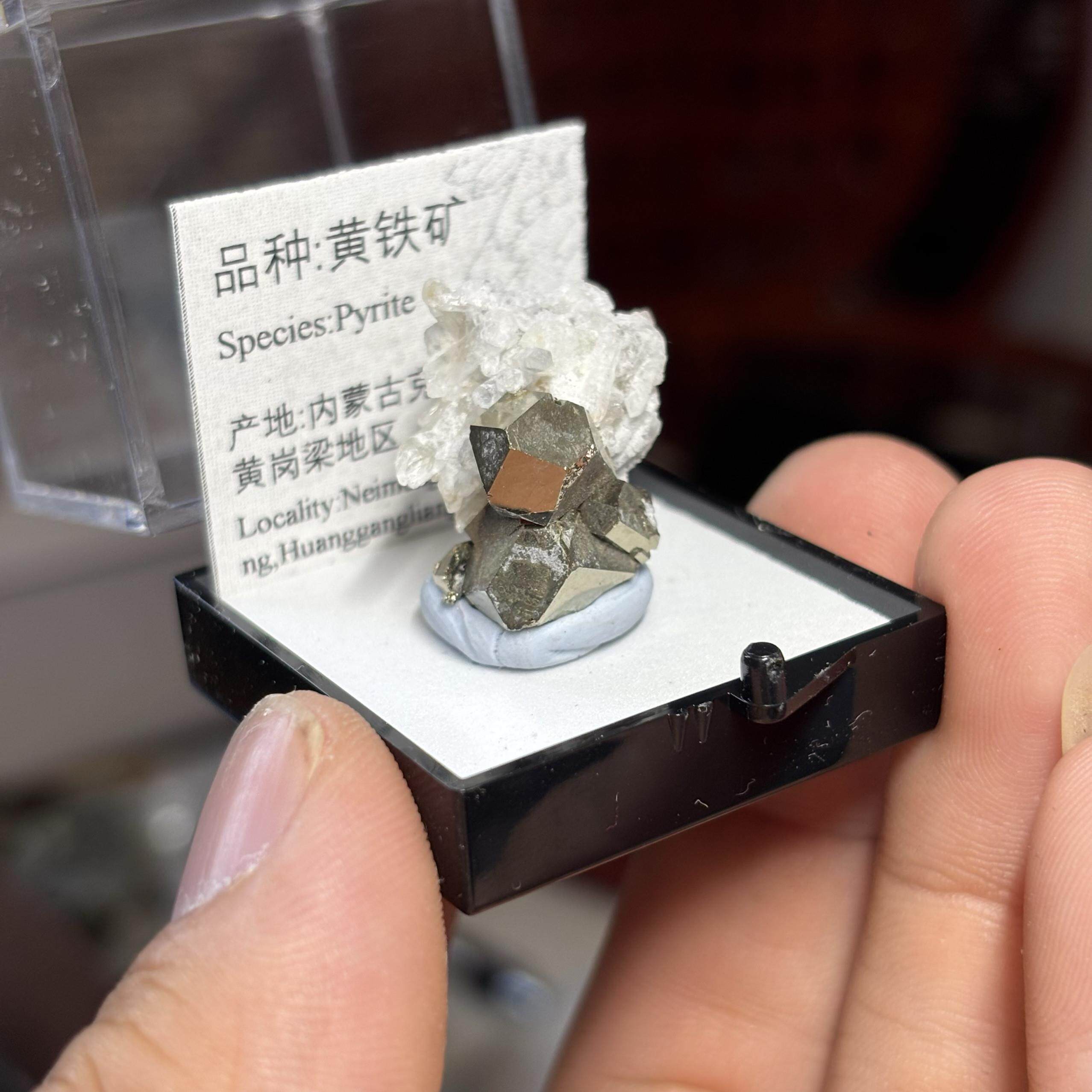 黄铁矿菱铁矿毒砂黄岗梁天然矿物晶体标本盒子矿猫矿石原石宝石能