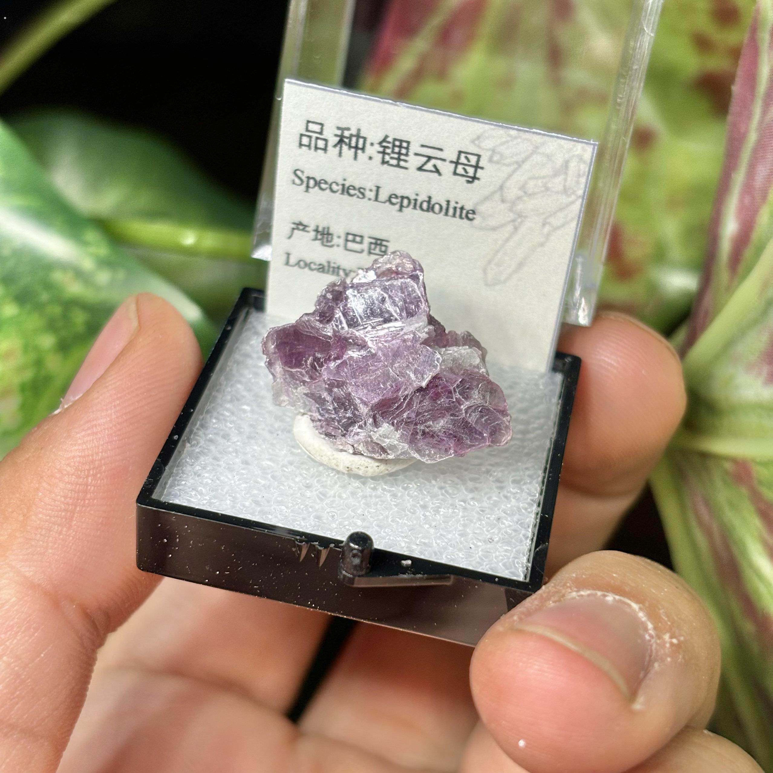 锂云母原石天然矿物晶体标本盒子猫矿石能量石晶宝石地质科普教学