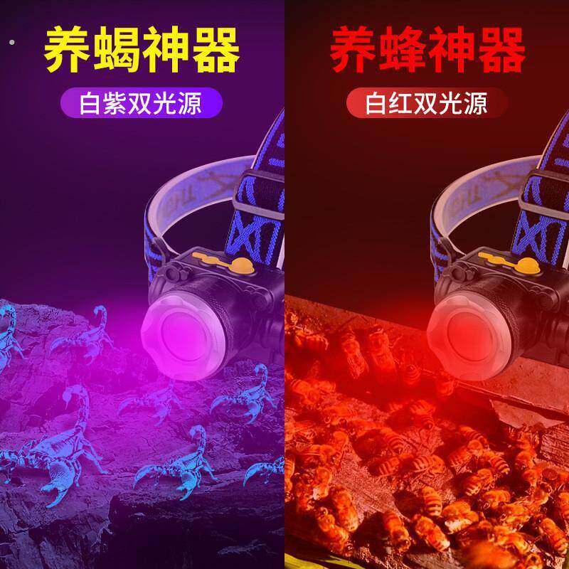 红光养蜂专用头灯查蜂取蜜蜜蜂灯座戴式手电筒调焦红白双光源