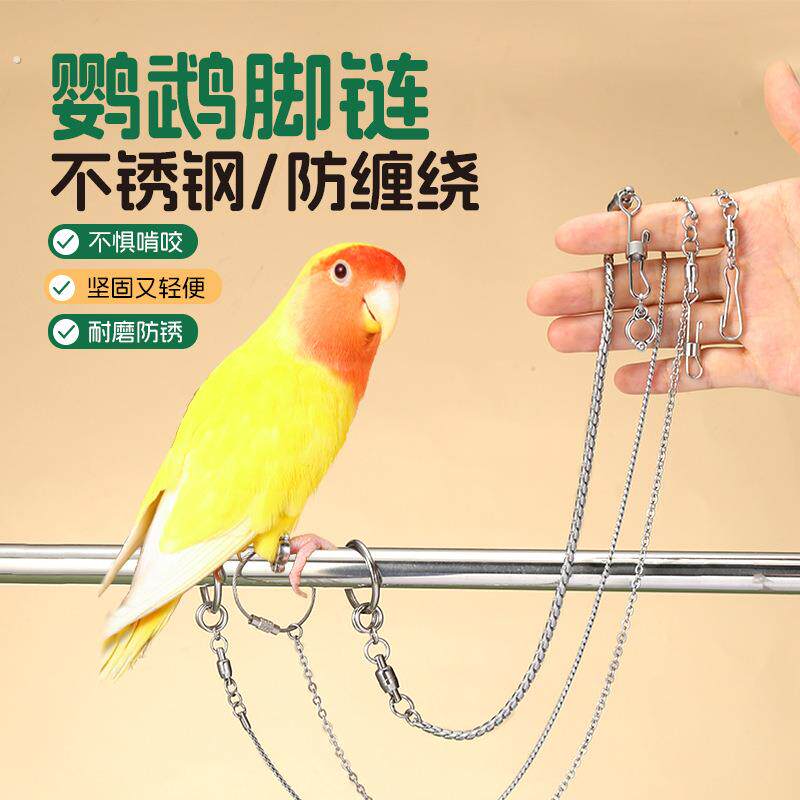 鹦鹉放飞绳不伤脚超轻训练绳虎皮玄凤牡丹脚环脚链脖套遛鸟飞行绳