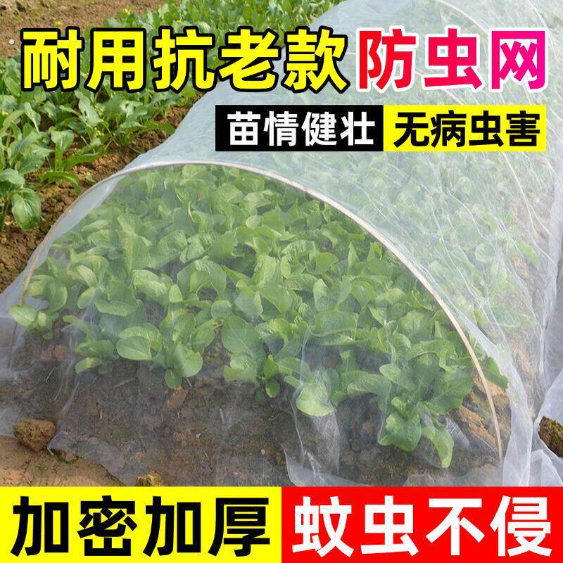 室外防蚊纱网防柳絮封院子纱网隔离网罩树叶天井防虫网养殖场防护