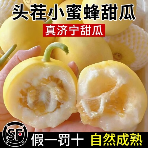 5A级正宗小蜜蜂早甜脆热卖中！