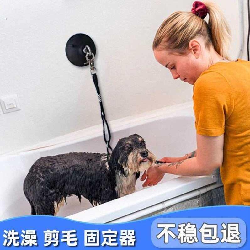 猫咪防跑绳狗狗剪毛美容台吊绳宠物店专用洗澡固定器带吸盘狗桩