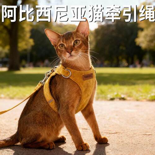 猫牵引绳阿比西尼亚防挣脱外出专用小猫咪出门绳子背心胸背可调节