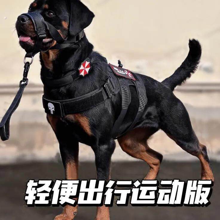 狗狗防咬嘴套战术户外防乱吃防乱喊叫中大型犬训练专用罗威那牵引