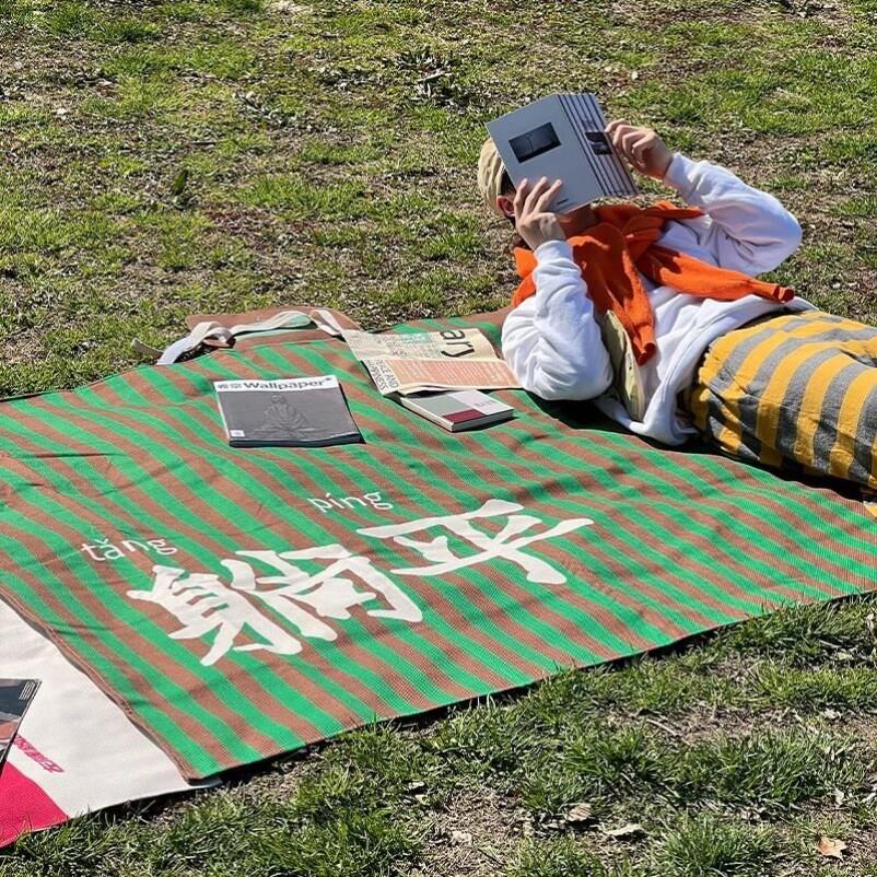 野餐垫防潮垫加厚可携式户外折叠草地春游垫子露营地垫音乐节防水