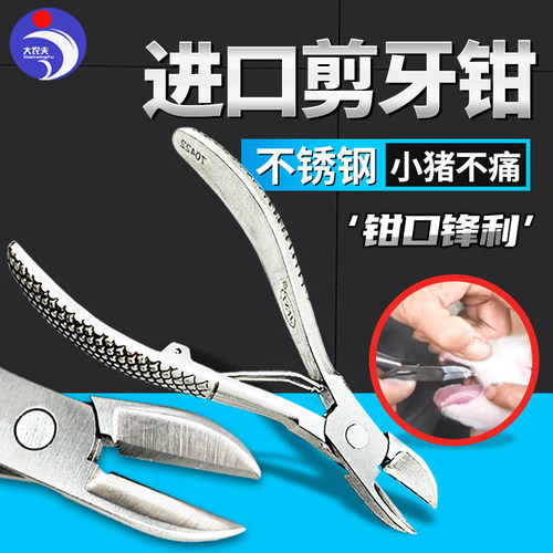 兽用不锈钢剪牙钳小猪剪齿钳乳猪用剪牙器兔仔养殖器械断牙钳设备