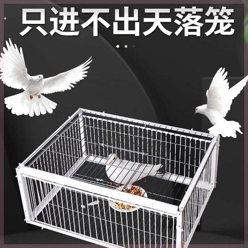 神器鸽子笼天落祇进不出户外捕全自动撞门加密收鸟笼用新款网