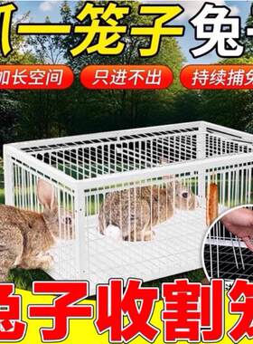 兔子捕捉器用品用具鸽子活络门撞门信鸽赛鸽用品加厚加密回笼门