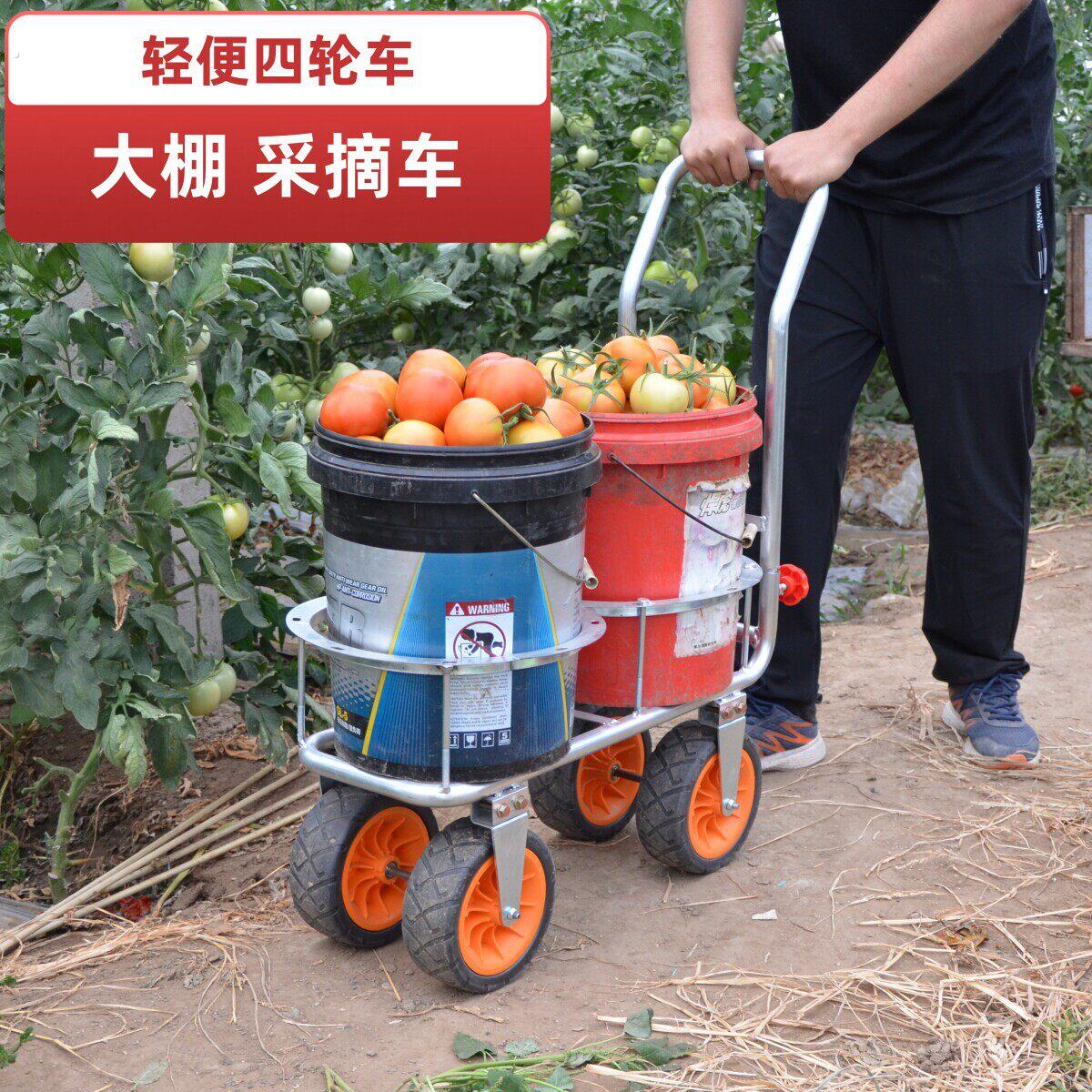 大棚采摘车果园菜地运输车 家用购物车买菜车 仓库饭店搬运手推车