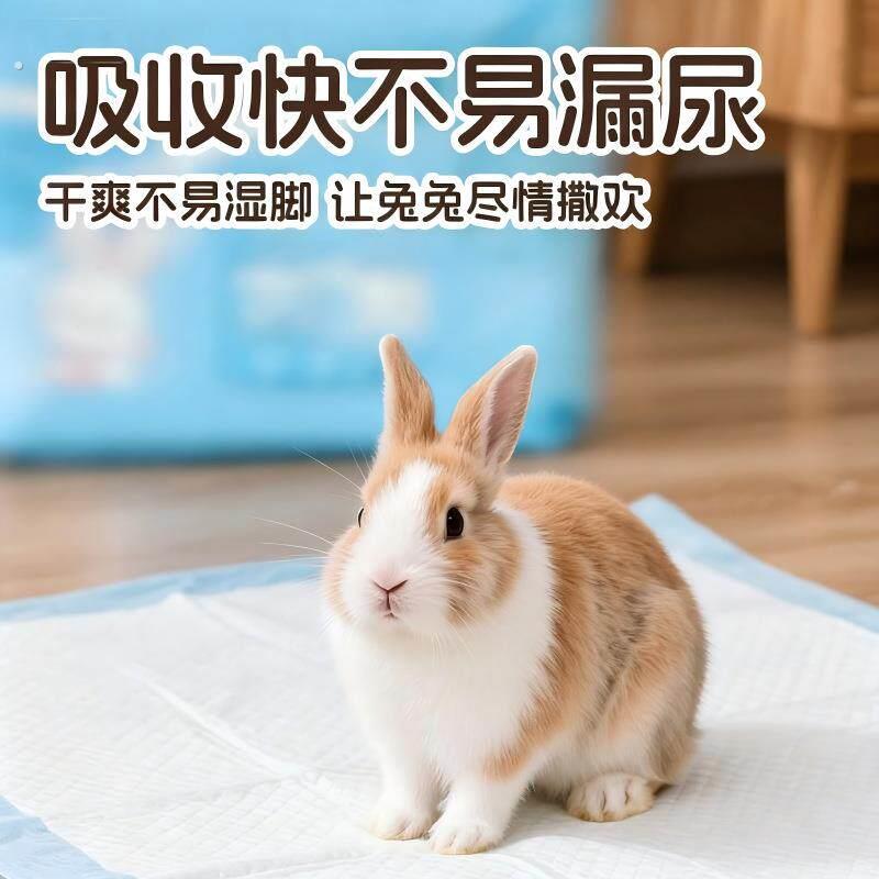 小宠尿垫加厚除臭吸水宠物隔尿垫兔子豚鼠荷兰猪护理垫吸尿纸猫狗