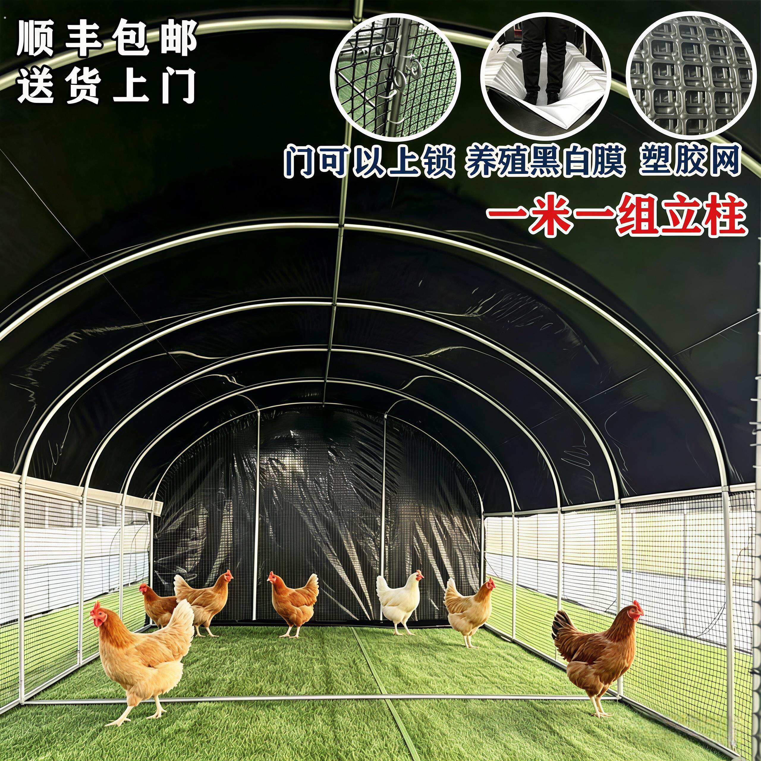 养殖鸡棚鸡窝家禽鸡笼子户外防雨棚鸭棚鸽舍家用组装大型鸡舍搭建