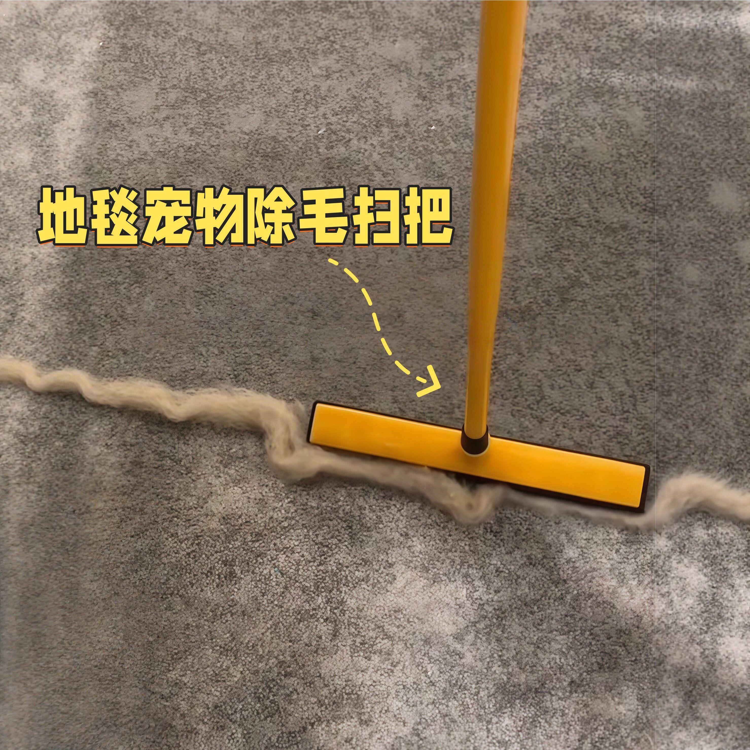 宠物猫毛清理神器地毯除毛刷狗毛吸附扫帚魔术不粘毛扫把头发拖把