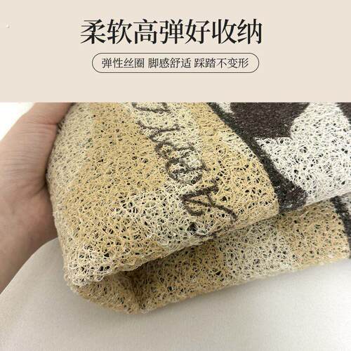 轻奢高级入户门地垫门口进门脚垫可裁剪丝圈进户门垫可擦防滑地毯