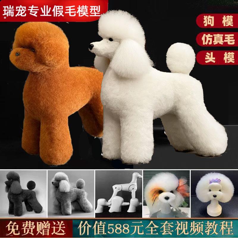 泰迪全身毛模型 宠物美容练习假狗毛 欧陆犬种假毛训练