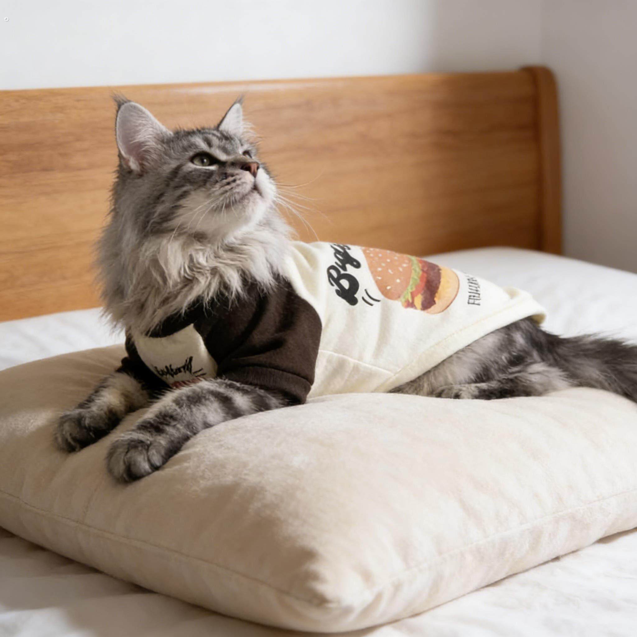 缅因猫专用衣服大号卫衣帅气薄款防掉毛酷春装春季宠物猫咪穿的