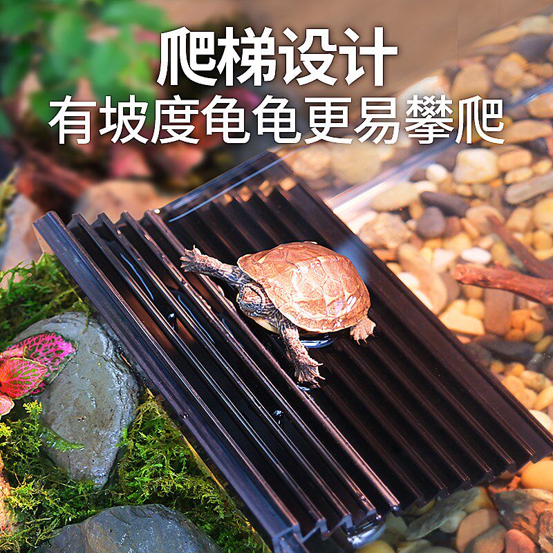 乌龟缸家用生态造景超白玻璃饲养箱半水龟黄缘专用两栖周转箱鱼缸图片