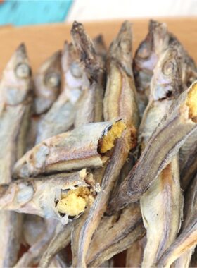 鲜肉冻干猫粮大号带籽多春鱼500g网红小鱼干猫咪宠物零食新鲜鱼条