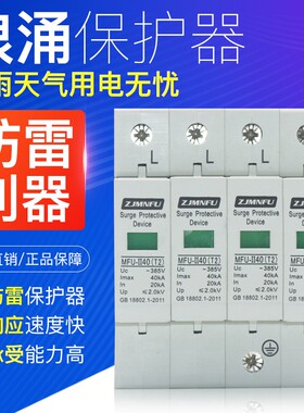 防雷浪涌保护器光伏并网专用防雷电20ka40ka60ka4p380V防雷避雷器