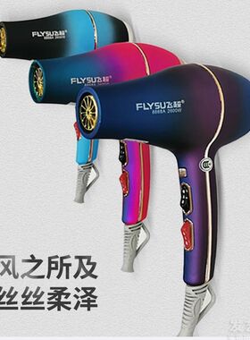 飞超8868A迷你吹风机理发店用造型风筒2600W静音电吹风大功率发廊