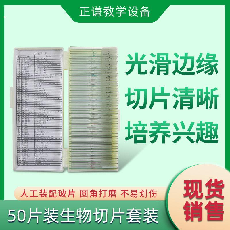50片装生物切片套装 中英文标签显微镜生物切片标本套装生物玻片