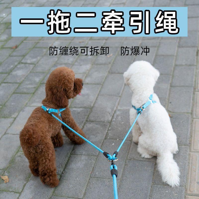 狗狗牵引绳一拖二遛狗绳子双头两只小中大型犬宠物泰迪柯基狗炼子