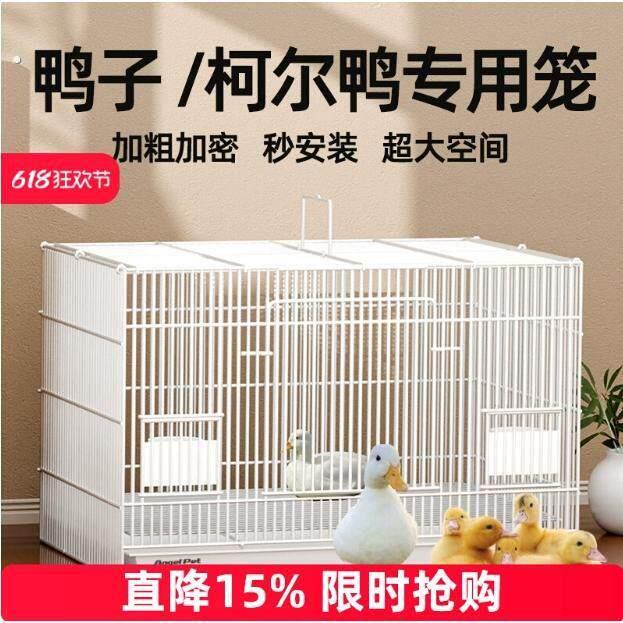 鸭子专用笼柯尔鸭笼用品屋育雏房家用室内外大号豪华别墅养小鸭笼