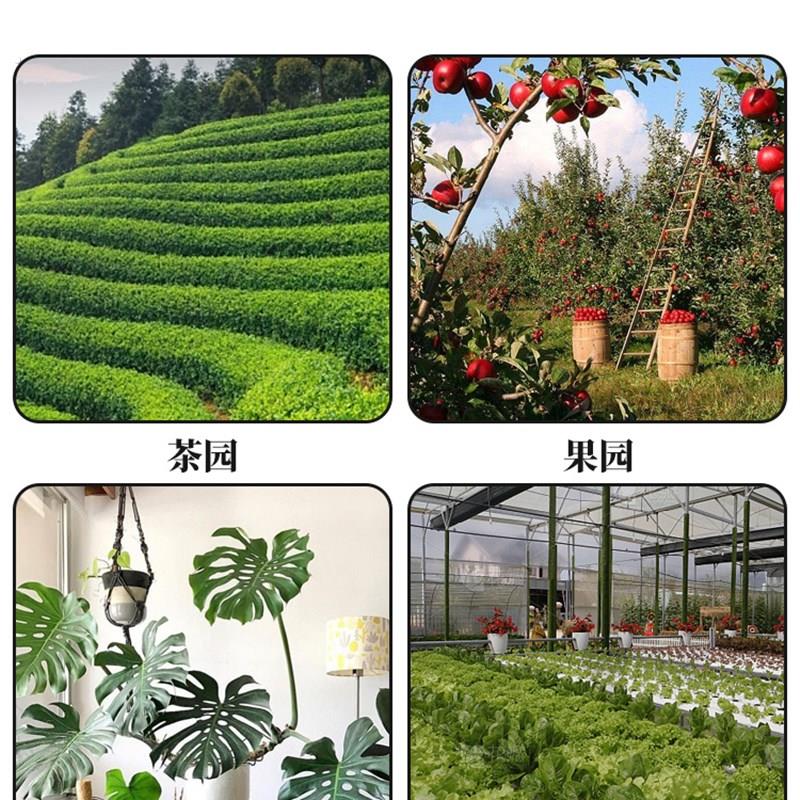 粘虫板黄板家用双面诱虫粘飞虫阳台小黑飞大棚果园果蝇强力诱捕器
