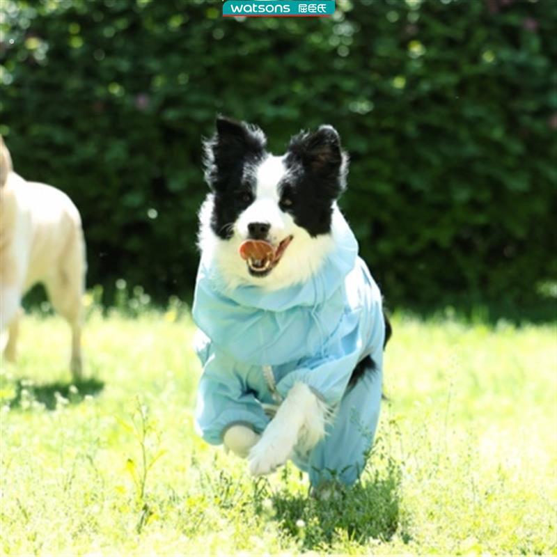 狗狗新款皮肤衣,出门防脏污防静电掉毛,小型犬大型犬速干四脚衣