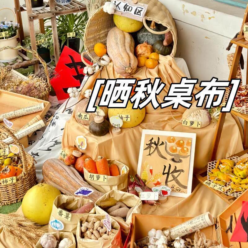 幼儿园秋季植物角环创桌布装饰晒秋活动氛围感布置拍照装饰背景