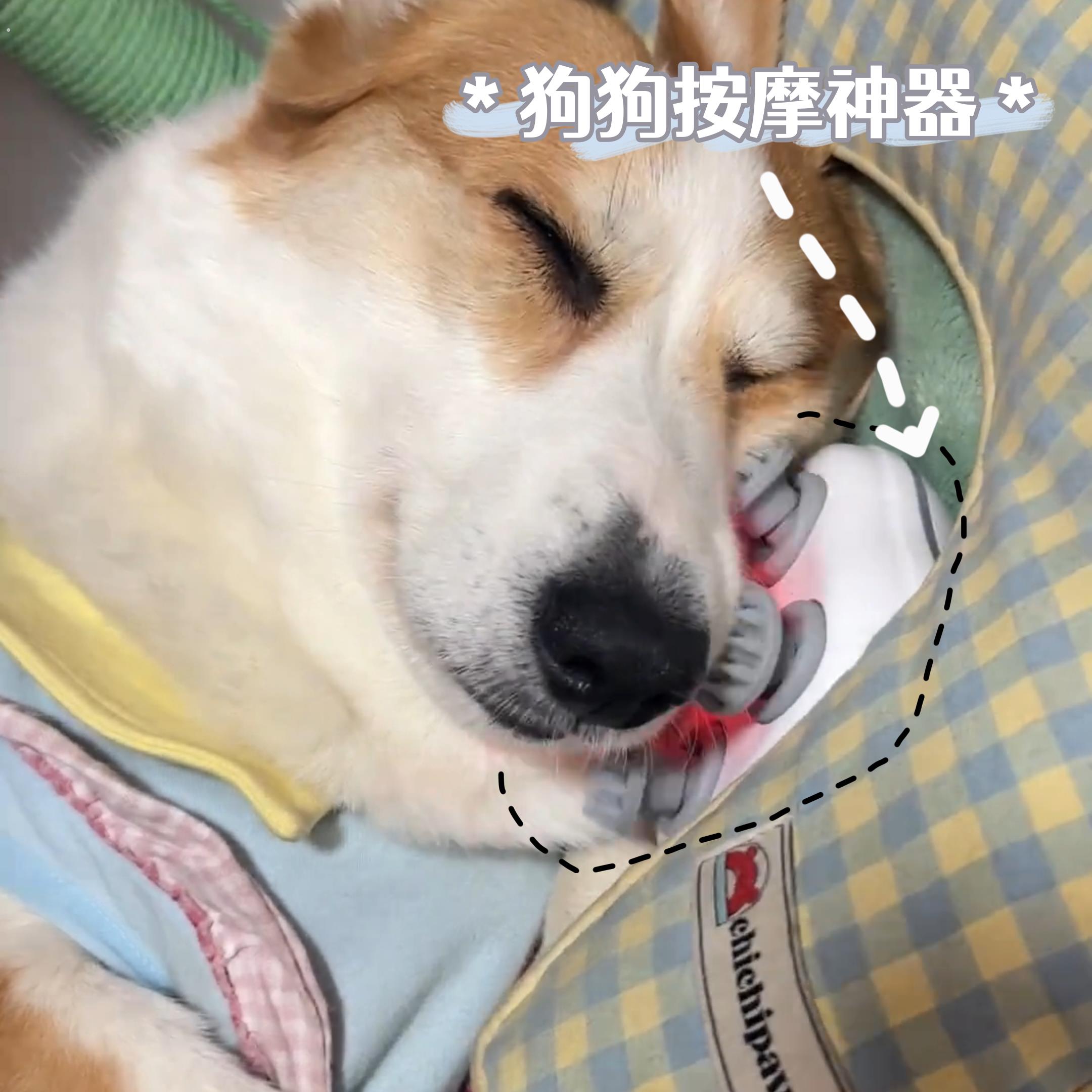 宠物狗狗按摩器电动自动按摩仪小狗头部下巴挠痒痒按摩撸猫狗神器
