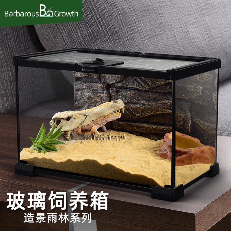 爬宠物蛇玻璃饲养箱角蛙蜘蛛蜥蜴守宫乌龟饲养盒雨林生态缸寄居蟹